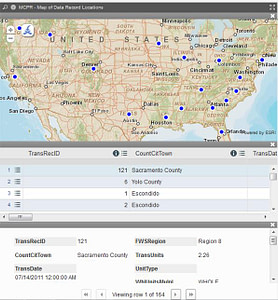 EcoBlu Analyst Tools I Graph - D